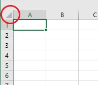 Excel view from Screnshoot