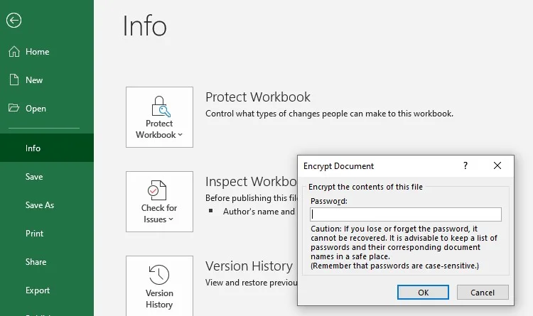password protect in excel