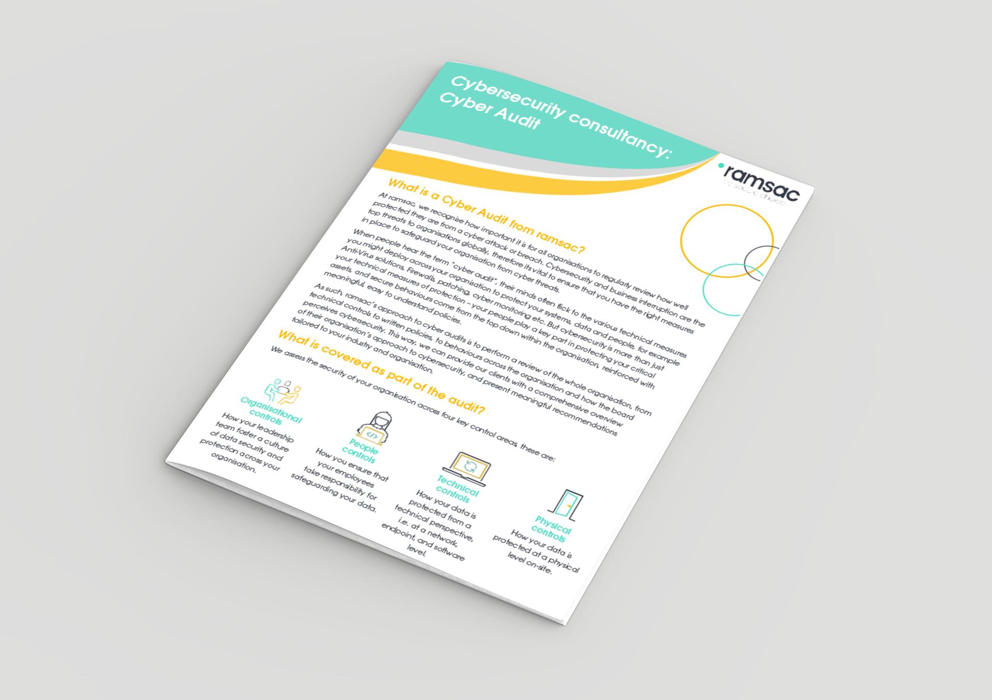 Cybersecurity consultancy – Cyber Audit